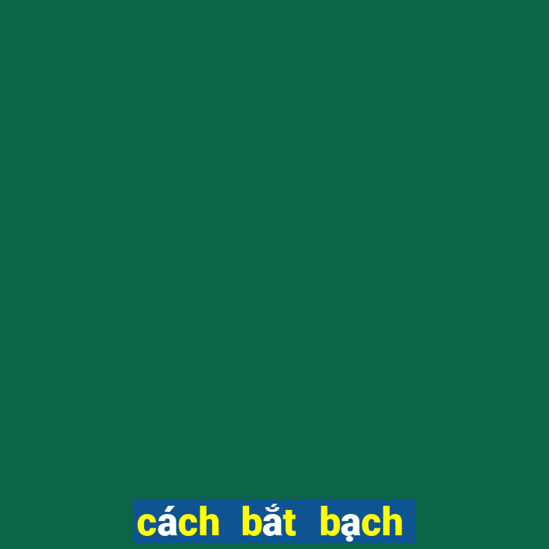 cách bắt bạch thủ lô