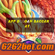 app dự đoán baccarat