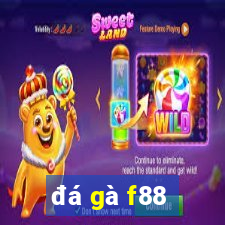 đá gà f88