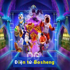 Điện tử Bosheng