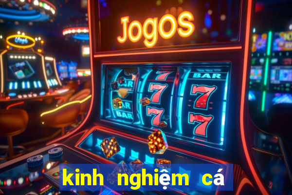 kinh nghiệm cá cược bóng đá