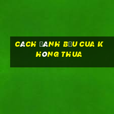 cách đánh bầu cua không thua