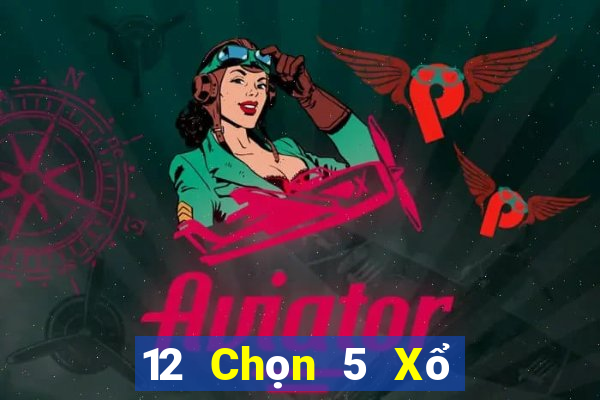 12 Chọn 5 Xổ số 8 Mã phổ quát