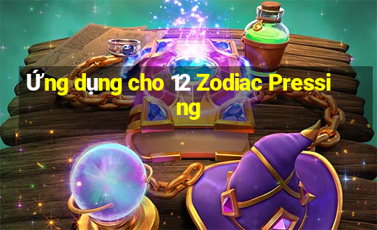 Ứng dụng cho 12 Zodiac Pressing