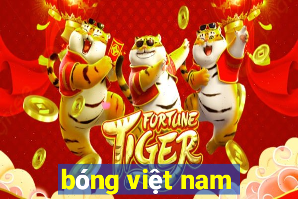 bóng việt nam