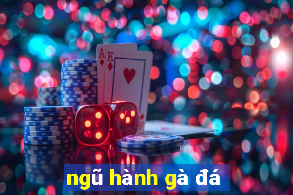 ngũ hành gà đá