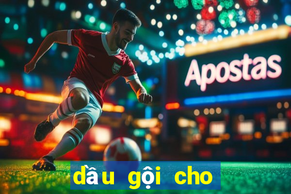 dầu gội cho tóc bết dầu