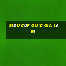 siêu cúp quốc gia là gì