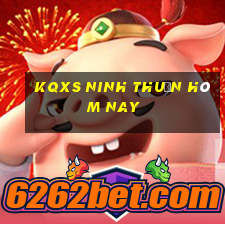 kqxs ninh thuận hôm nay