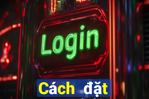 Cách đặt cược XSMT ngày 6