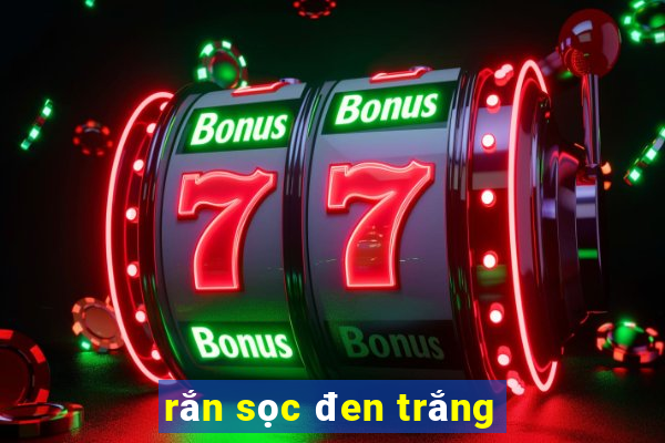 rắn sọc đen trắng