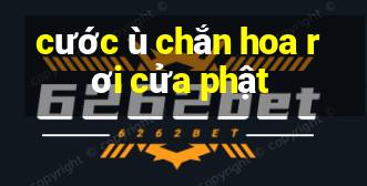 cước ù chắn hoa rơi cửa phật