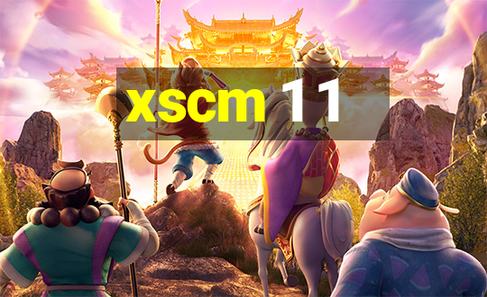 xscm 1 1