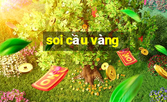 soi cầu vàng