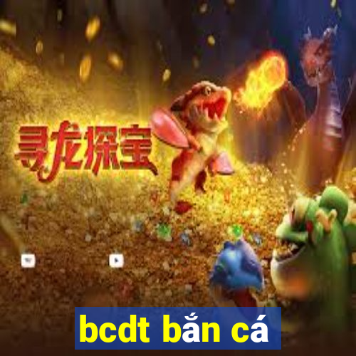 bcdt bắn cá