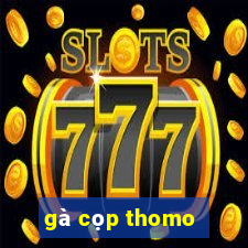 gà cọp thomo