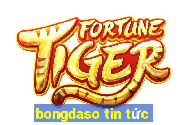 bongdaso tin tức