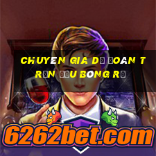 Chuyên gia dự đoán trận đấu bóng rổ