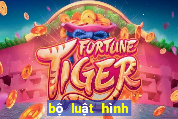 bộ luật hình sự 2015