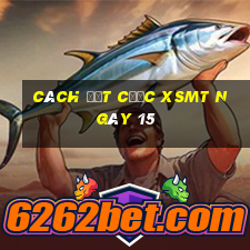 Cách đặt cược XSMT ngày 15