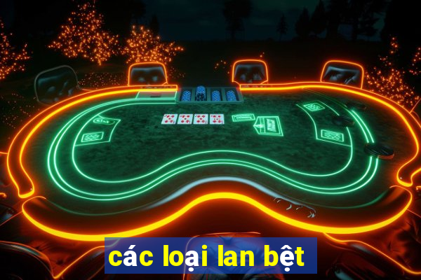 các loại lan bệt