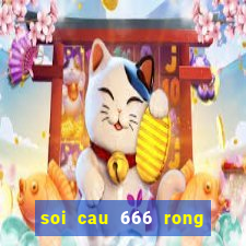 soi cau 666 rong bach kim