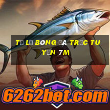 tỷ lệ bóng đá trực tuyến 7m