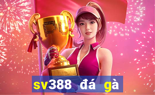 sv388 đá gà trực tiếp thomo tại sv388