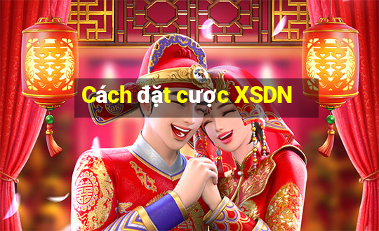 Cách đặt cược XSDN