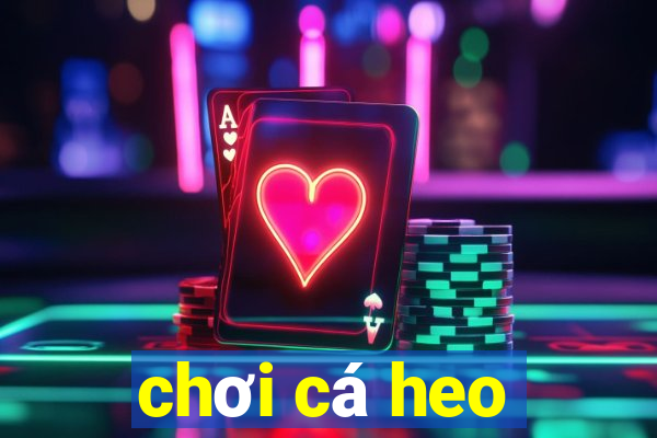 chơi cá heo