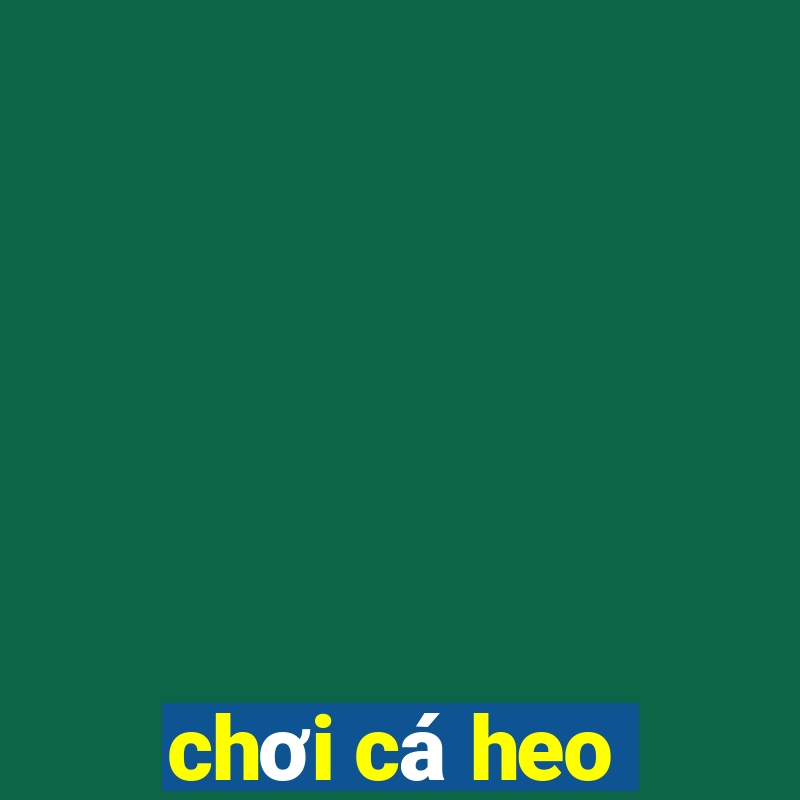 chơi cá heo