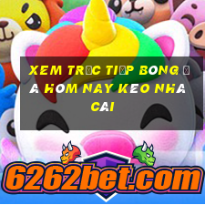 xem trực tiếp bóng đá hôm nay kèo nhà cái