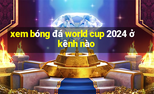 xem bóng đá world cup 2024 ở kênh nào