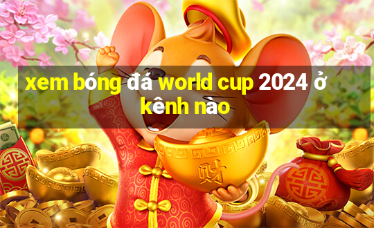 xem bóng đá world cup 2024 ở kênh nào