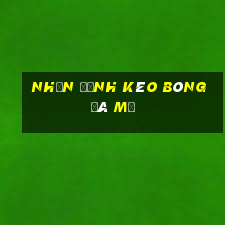 nhận định kèo bóng đá mỹ