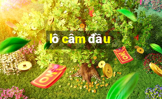 lô câm đầu