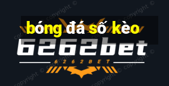 bóng đá số kèo