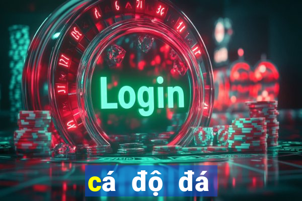 cá độ đá banh online