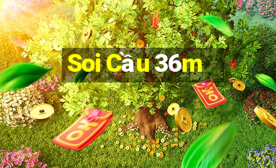 Soi Cầu 36m