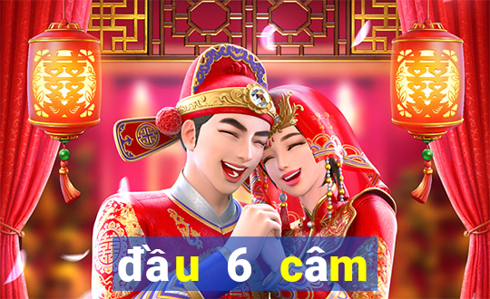 đầu 6 câm đánh con gì