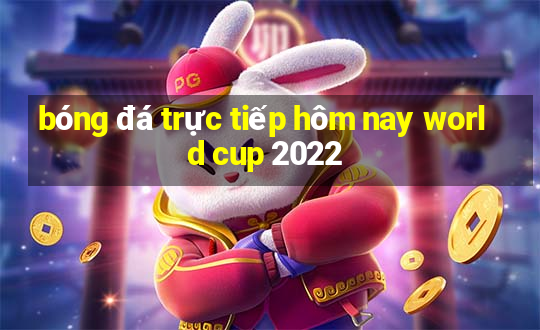 bóng đá trực tiếp hôm nay world cup 2022