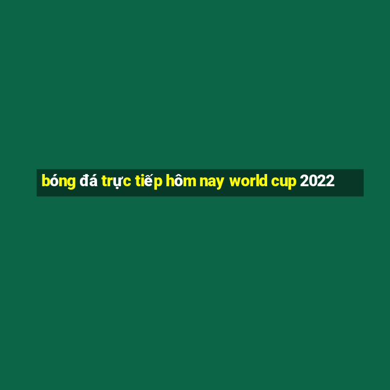 bóng đá trực tiếp hôm nay world cup 2022