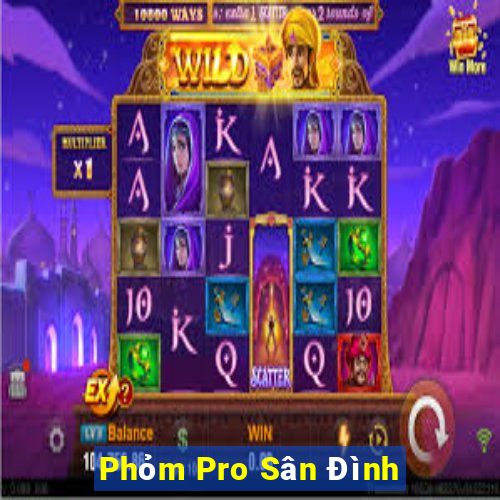 Phỏm Pro Sân Đình