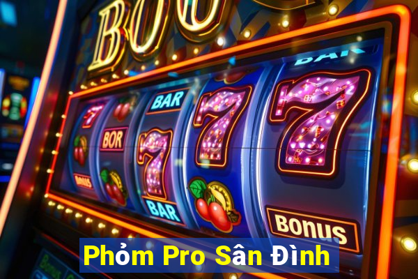 Phỏm Pro Sân Đình