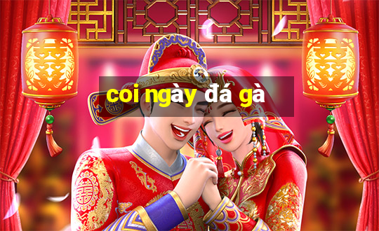 coi ngay da ga