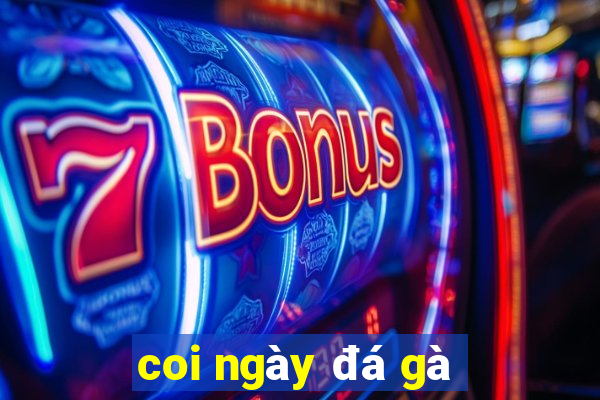 coi ngay da ga