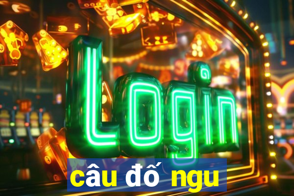 câu đố ngu