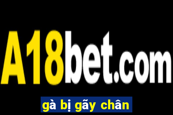 gà bị gãy chân