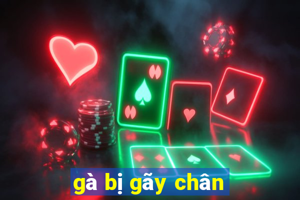 gà bị gãy chân