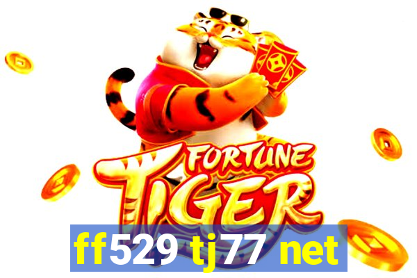 ff529 tj77 net